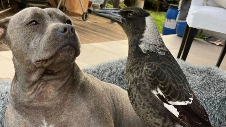 Peggy & Molly; The Unlikeliest of Friends Reunited