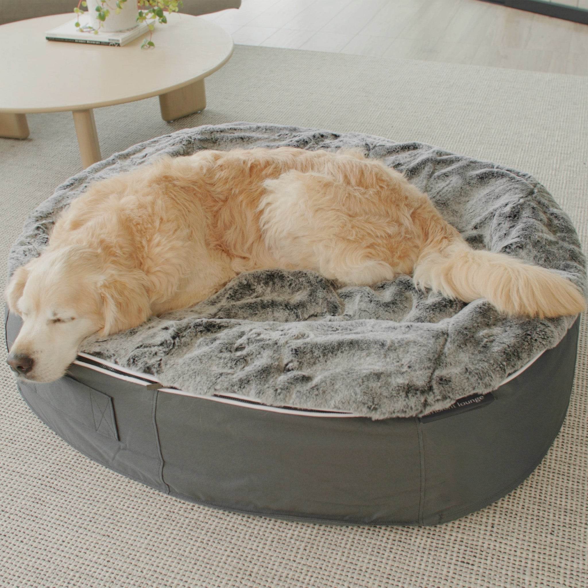 Large Rebound Foam Dog Beds