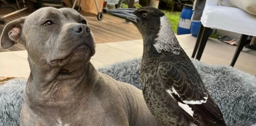 Peggy & Molly; The Unlikeliest of Friends Reunited