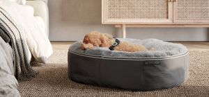 Pros & Cons of Letting Your Dog Sleep on Your Bed