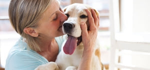 Are you a Dog Person? A Checklist to See if You Should Get a Dog
