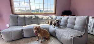 3  Ideas on How to Spend your Weekend at Home