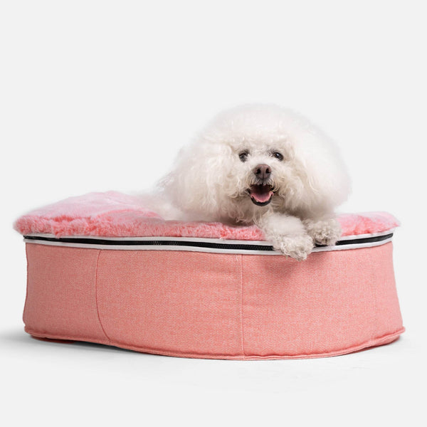 Small Luxury Dog Bed - Interior/Outdoor