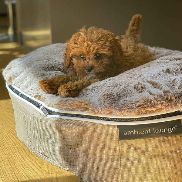 Small Luxury Dog Bed - Interior/Outdoor
