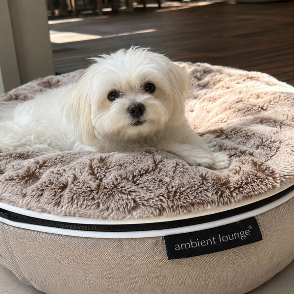 Small Rebound Foam Mattress Dog Bed - Interior/Outdoor