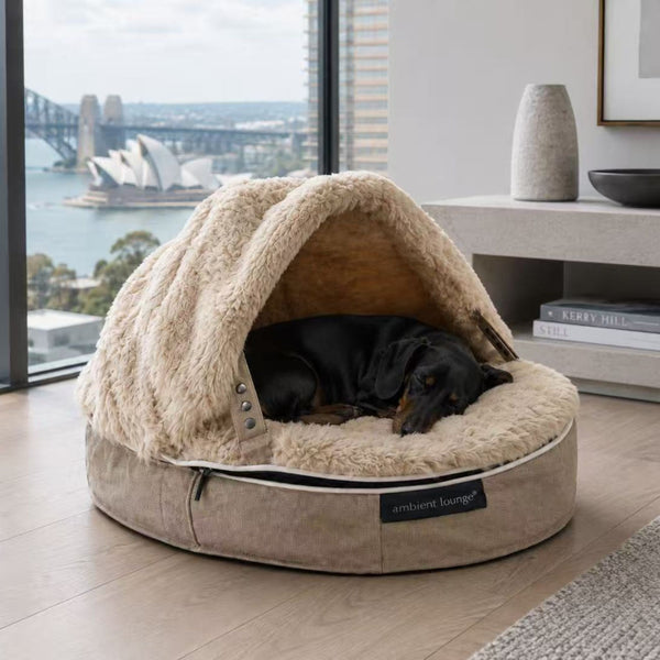 Small Rebound Foam Mattress Dog Bed With Hoodie-Interior/Outdoor