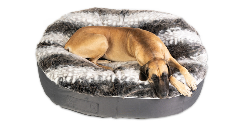 XXL Wild Animal Dog Bed