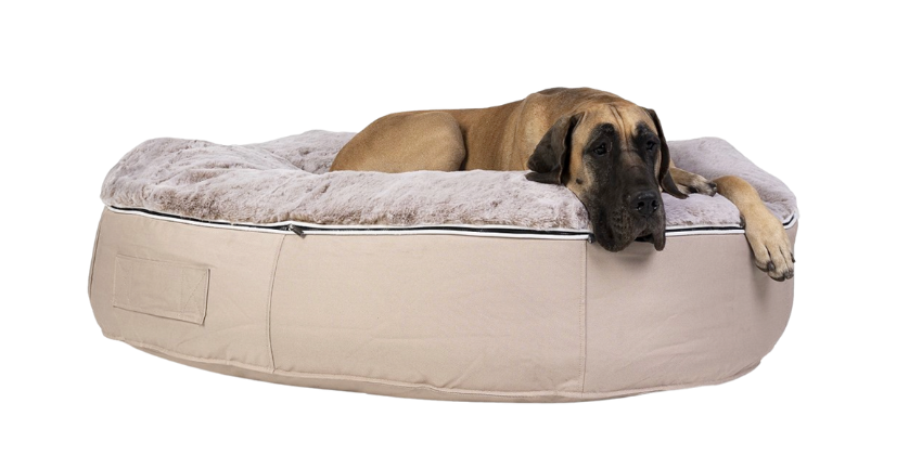 Dog laying on an Ambient lounge XXL Dog Bed