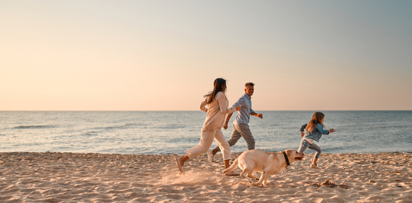 family with a dog on the beach
