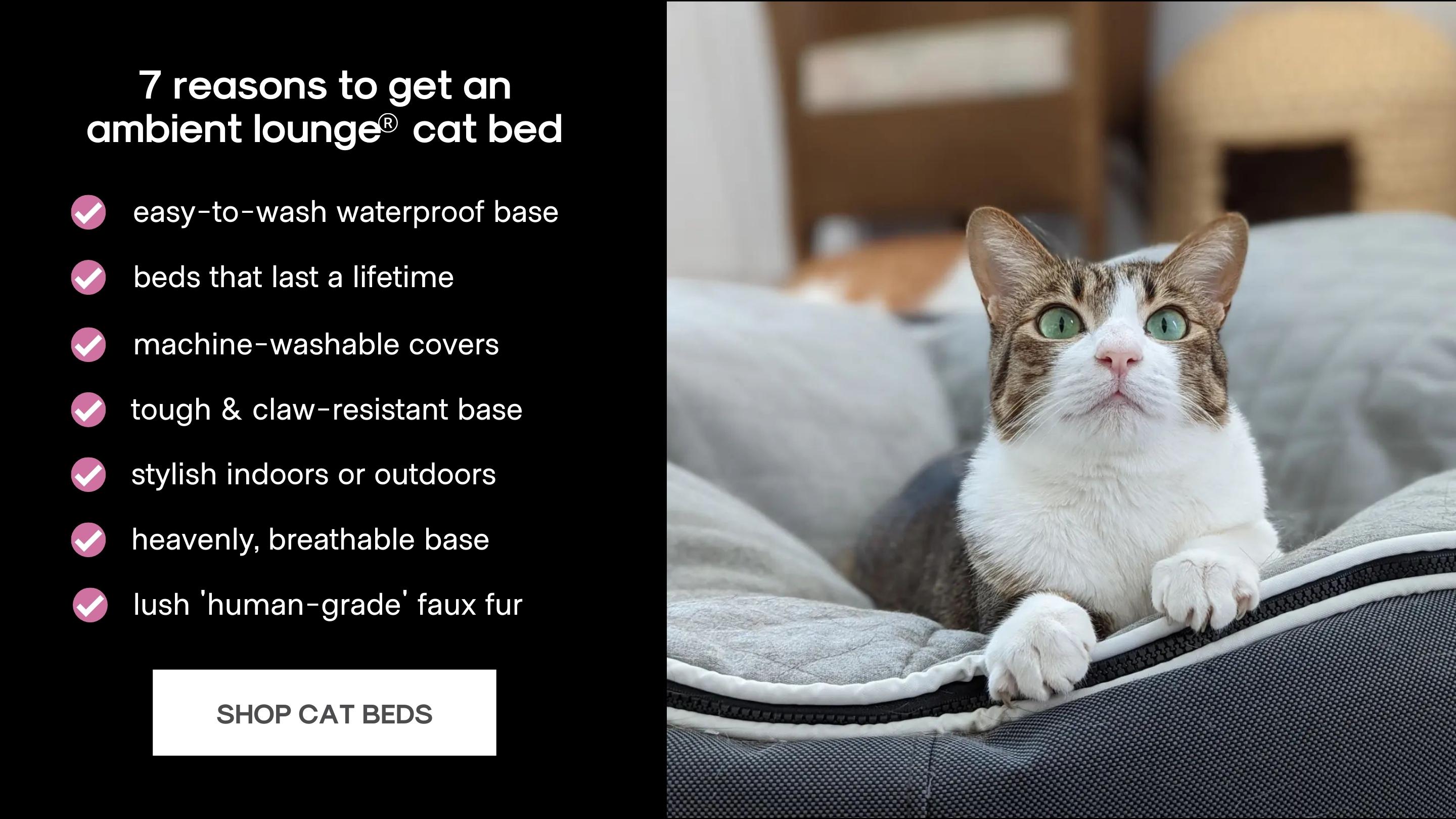 cat bed by ambient lounge