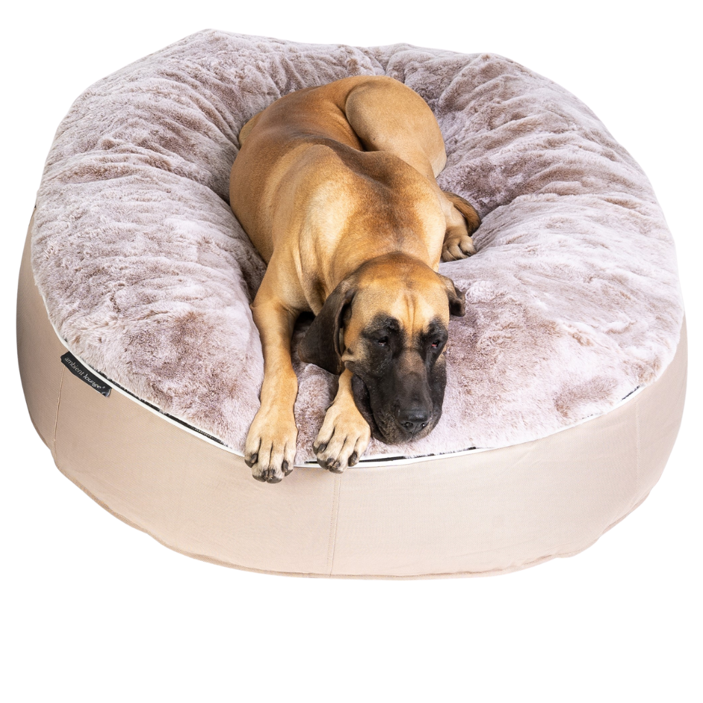 Bean bag bed for hotsell dogs
