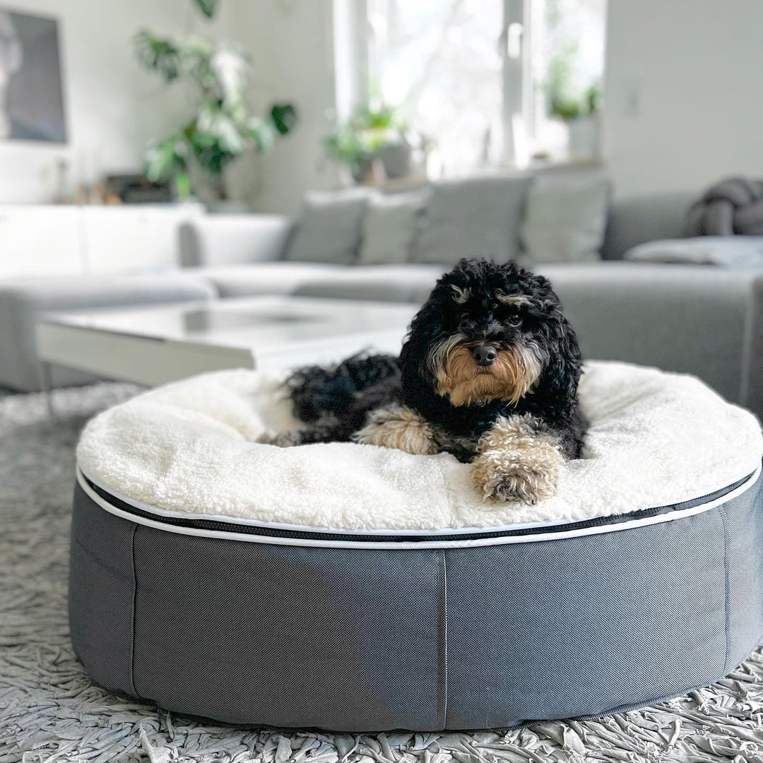 Organic cotton dog bed outlet