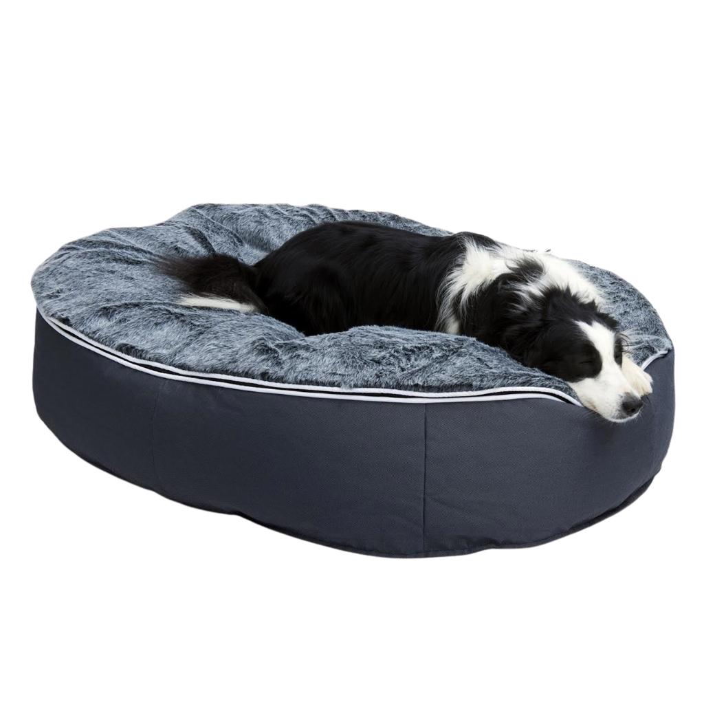 Designer pet shop beds