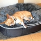 Small Luxury Indoor/Outdoor Dog Bed (Original)