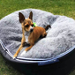 Small Luxury Indoor/Outdoor Dog Bed (Original)