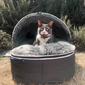 Luxury "Hoodie" Convertible Cat Bed