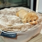 Small Luxury Indoor/Outdoor Dog Bed (Cappuccino)