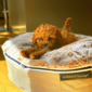 Small Luxury Indoor/Outdoor Dog Bed (Cappuccino)