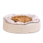 Medium Luxury Indoor/Outdoor Dog Bed (Cappuccino)