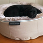 brown cushion dog beds made of bean bags by Ambient Lounge
