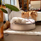 Medium Premium Indoor/Outdoor Dog Bed (Cappuccino)
