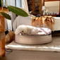 Medium Luxury Indoor/Outdoor Dog Bed (Cappuccino)