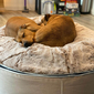 Large Luxury Indoor/Outdoor Dog Bed (Cappuccino)