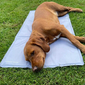 dog mat by ambient lounge
