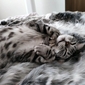 Small Premium Faux Fur Cat Bed Cover (Wild Animal)