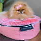 Small Luxury Indoor/Outdoor Dog Bed (Ballerina Pink)