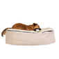 Medium Premium Cooling ThermoQuilt Dog Bed (Coffee)