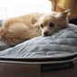 Small Premium Cooling ThermoQuilt Dog Bed (Coffee)