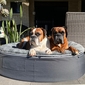 Medium Rebound Foam Mattress Dog Bed (Original + Cappuccino)