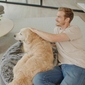 Large Rebound Foam Mattress Dog Bed (Blue Dream with Organic Cotton)